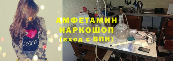 молекула духа Михайлов
