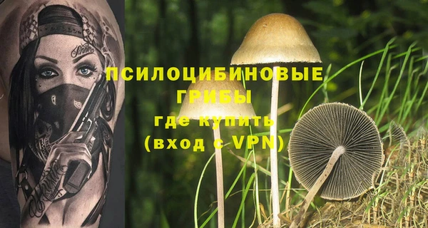 молекула духа Михайлов