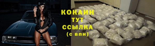молекула духа Михайлов