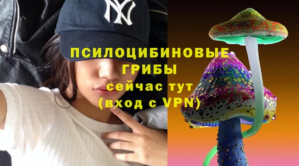 не бодяженный Михайловск