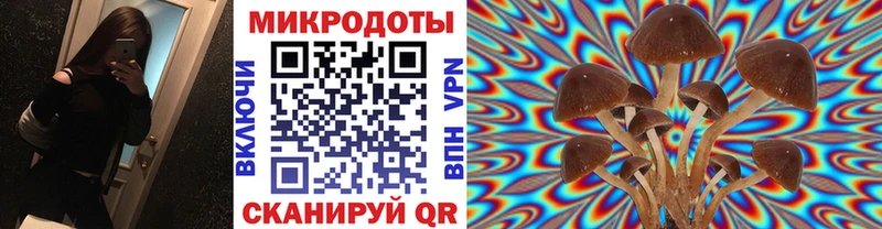 mega как зайти  Старый Крым  Галлюциногенные грибы Psilocybe  наркотики 